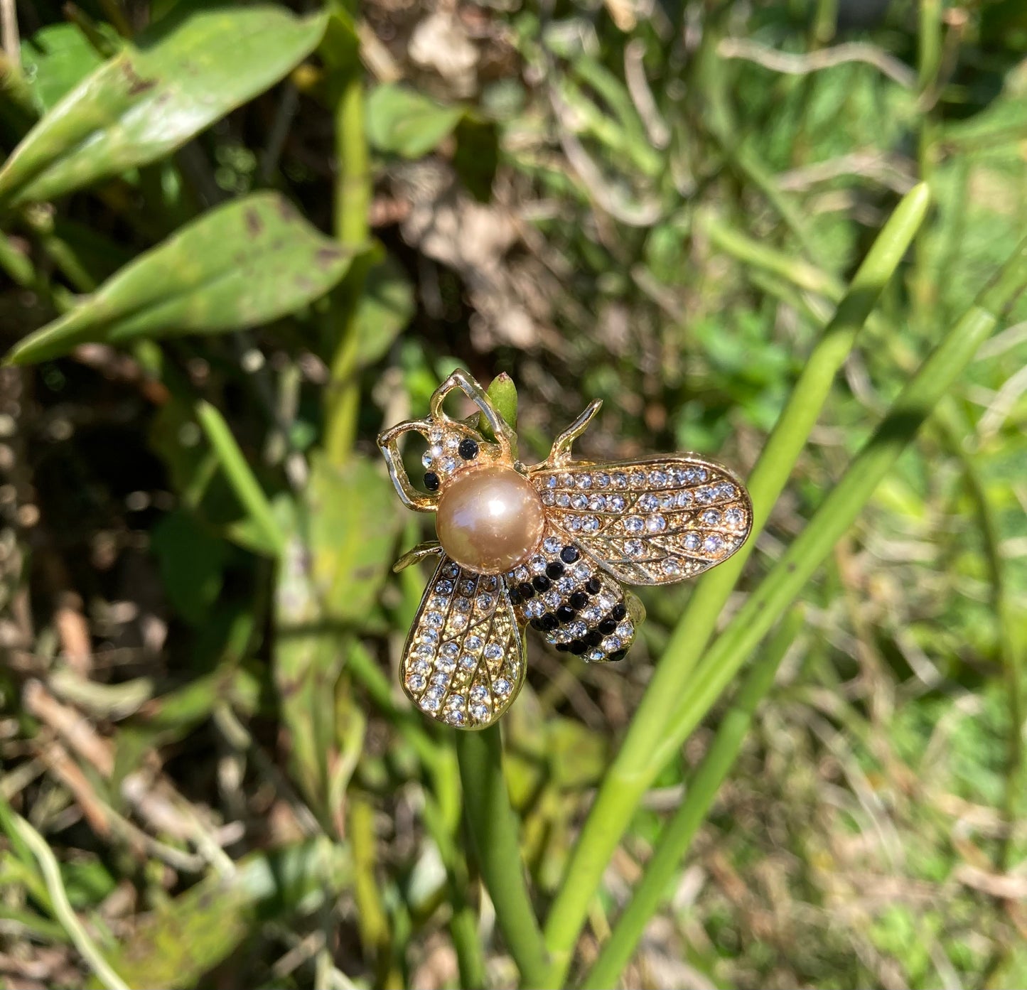 Broche Abeille Champagne